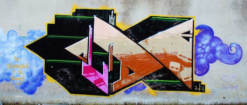 Grafiti na Velopinu (1)