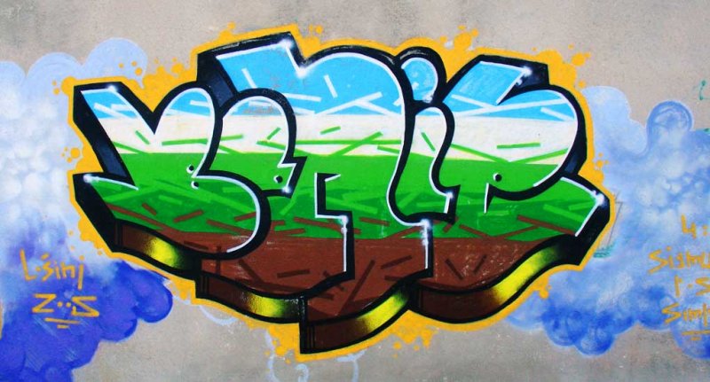 Grafiti na Velopinu (1)