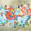 Grafiti na Velopinu (1)
