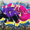 Grafiti na Velopinu (1)