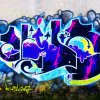Grafiti na Velopinu (1)