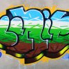 Grafiti na Velopinu (1)
