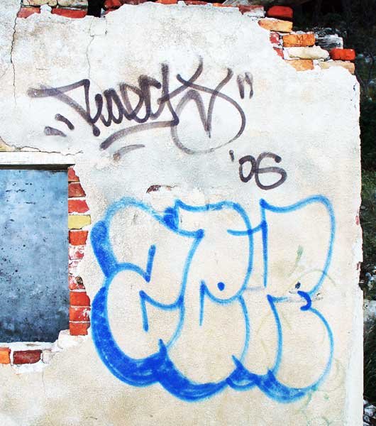 Grafiti na Velopinu (2)