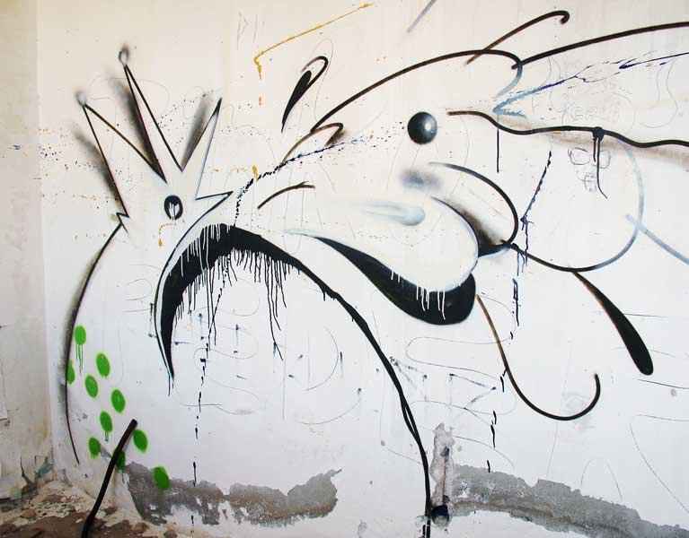 Grafiti na Velopinu (2)