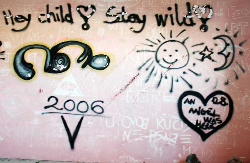 Grafiti na Velopinu (2)