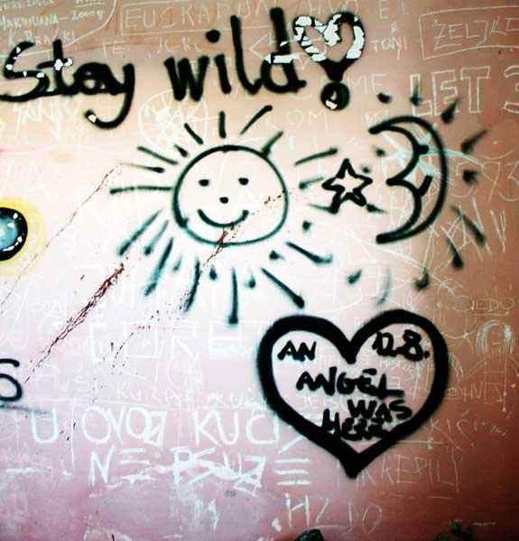 Grafiti na Velopinu (2)
