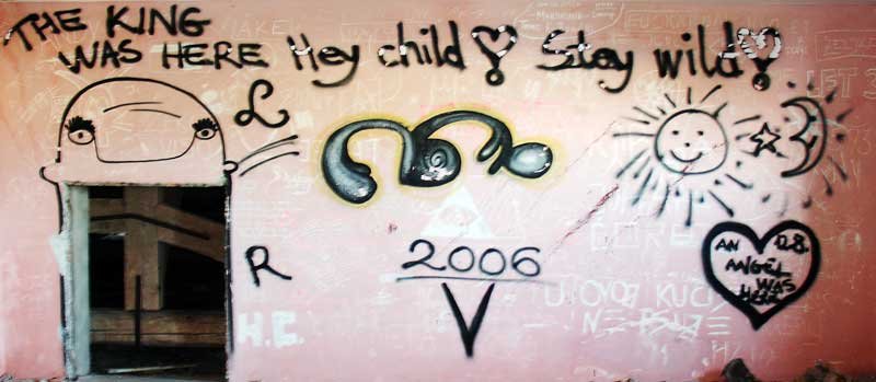 Grafiti na Velopinu (2)