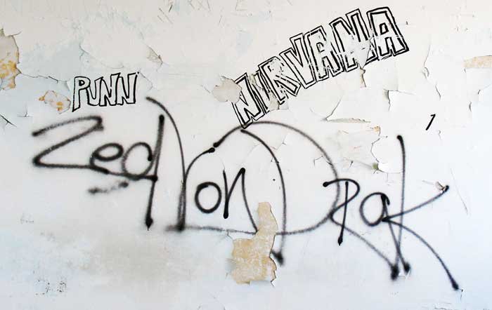 Grafiti na Velopinu (2)