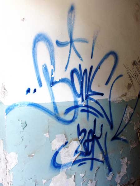 Grafiti na Velopinu (2)