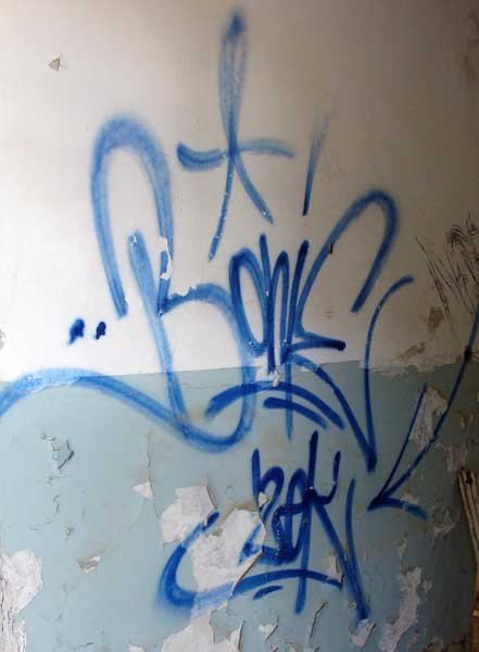 Grafiti na Velopinu (2)
