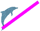 delfin-no