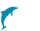 delfin