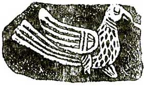 Osorska golubica