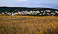 unijeth