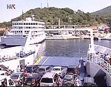 porozine
