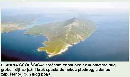 Osoršćica