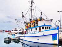 ribarica