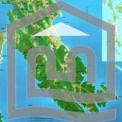 punta_th