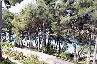 Park šuma Čikat